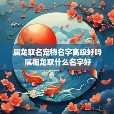 属龙取名宠物名字高级好吗 属相龙取什么名字好