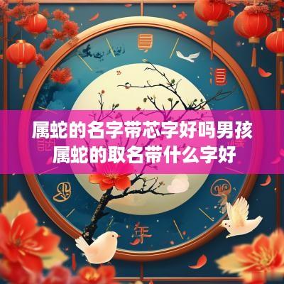 属蛇的名字带芯字好吗男孩 属蛇的取名带什么字好