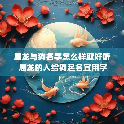属龙与狗名字怎么样取好听 属龙的人给狗起名宜用字