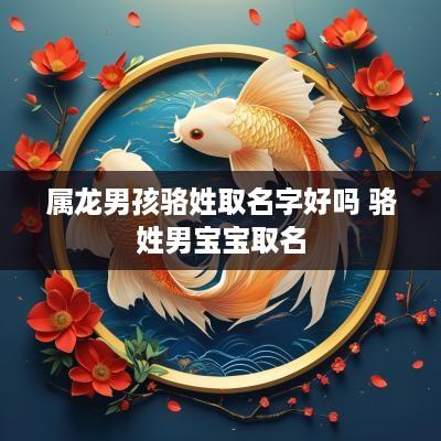 属龙男孩骆姓取名字好吗 骆姓男宝宝取名
