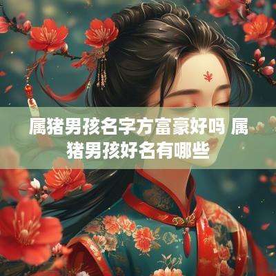 属猪男孩名字方富豪好吗 属猪男孩好名有哪些