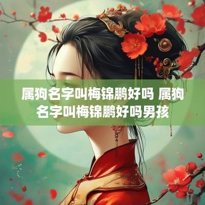 属狗名字叫梅锦鹏好吗 属狗名字叫梅锦鹏好吗男孩