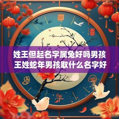 姓王但起名字属兔好吗男孩 王姓蛇年男孩取什么名字好