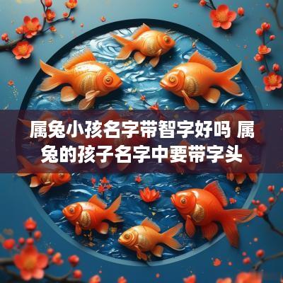 属兔小孩名字带智字好吗 属兔的孩子名字中要带字头