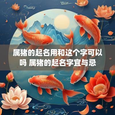 属猪的起名用和这个字可以吗 属猪的起名字宜与忌