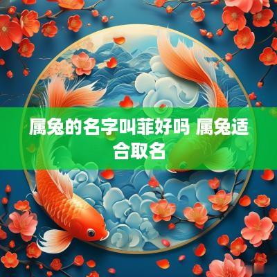 属兔的名字叫菲好吗 属兔适合取名