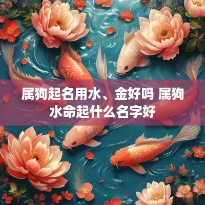 属狗起名用水、金好吗 属狗水命起什么名字好