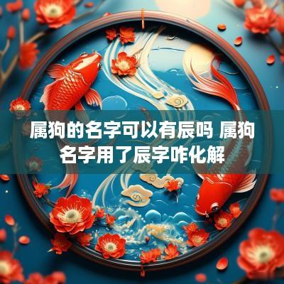 属狗的名字可以有辰吗 属狗名字用了辰字咋化解 属狗的名字可以有辰吗 属狗名字用了辰字咋化解