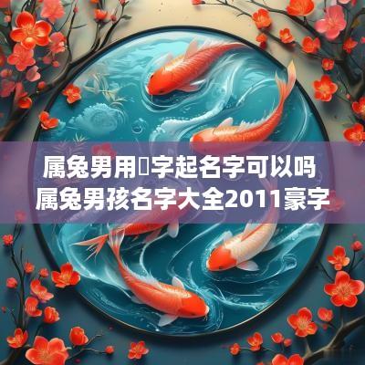 属兔男用喆字起名字可以吗 属兔男孩名字大全2011豪字