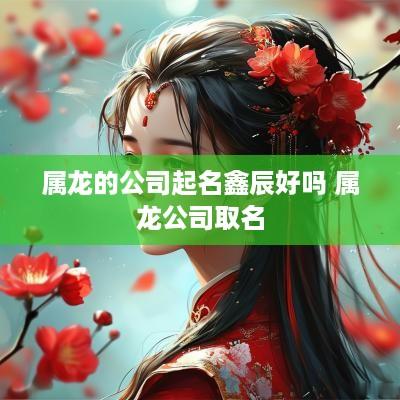 属龙的公司起名鑫辰好吗 属龙公司取名