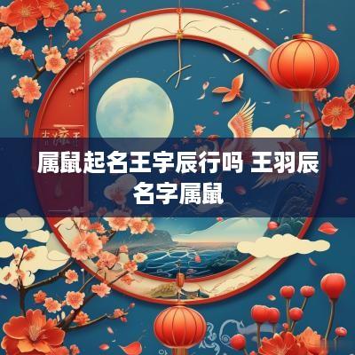 属鼠起名王宇辰行吗 王羽辰名字属鼠