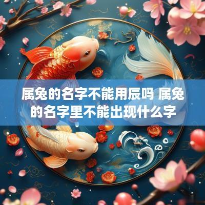 属兔的名字不能用辰吗 属兔的名字里不能出现什么字