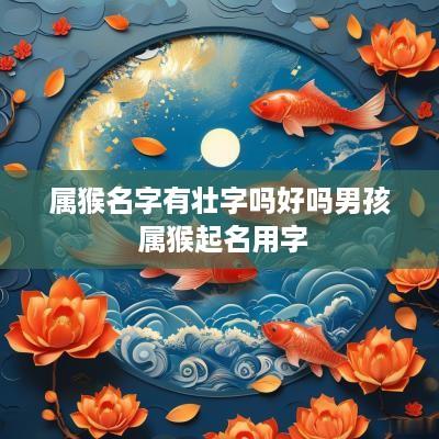 属猴名字有壮字吗好吗男孩 属猴起名用字