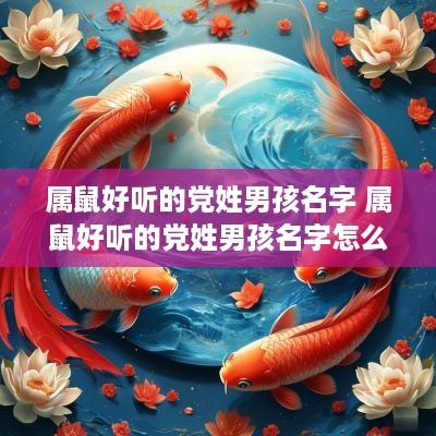 属鼠好听的党姓男孩名字 属鼠好听的党姓男孩名字怎么取