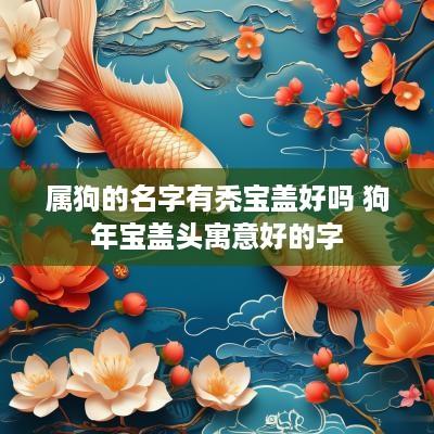 属狗的名字有秃宝盖好吗 狗年宝盖头寓意好的字