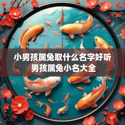 小男孩属兔取什么名字好听 男孩属兔小名大全