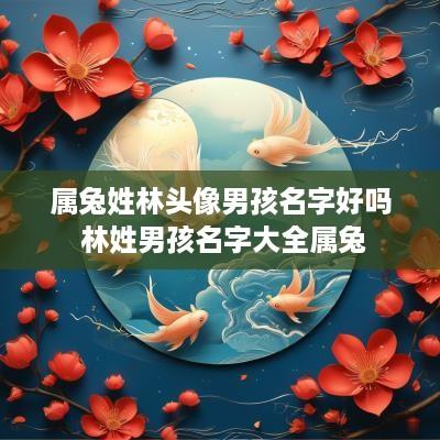 属兔姓林头像男孩名字好吗 林姓男孩名字大全属兔