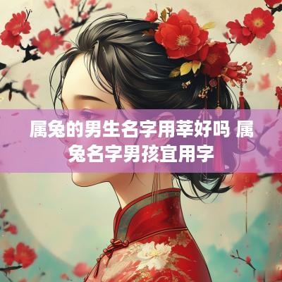 属兔的男生名字用莘好吗 属兔名字男孩宜用字