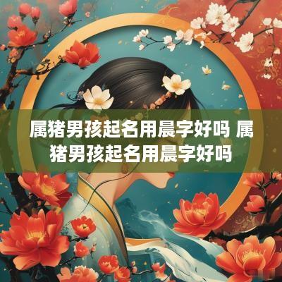 属猪男孩起名用晨字好吗 属猪男孩起名用晨字好吗