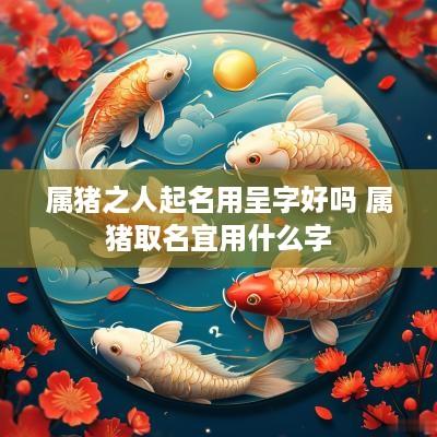 属猪之人起名用呈字好吗 属猪取名宜用什么字