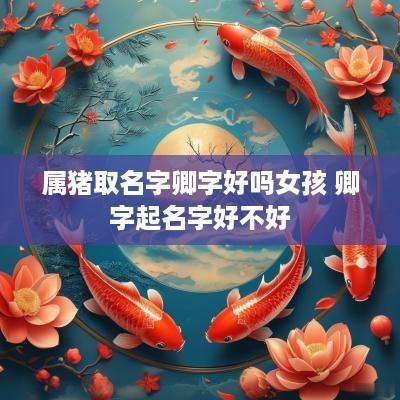 属猪取名字卿字好吗女孩 卿字起名字好不好