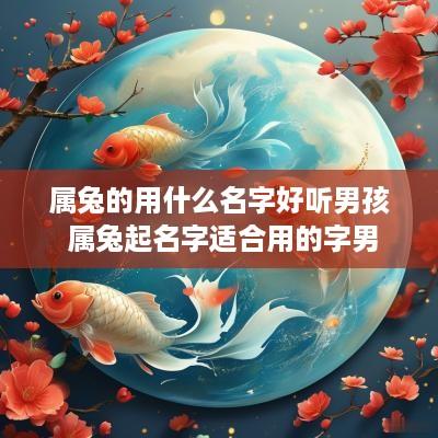 属兔的用什么名字好听男孩 属兔起名字适合用的字男
