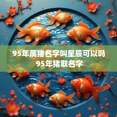 95年属猪名字叫星辰可以吗 95年猪取名字
