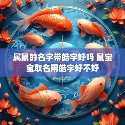 属鼠的名字带皓字好吗 鼠宝宝取名用皓字好不好