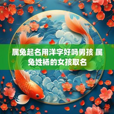 属兔起名用洋字好吗男孩 属兔姓杨的女孩取名