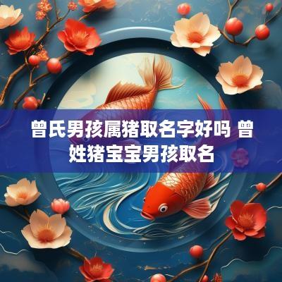 曾氏男孩属猪取名字好吗 曾姓猪宝宝男孩取名