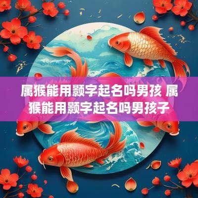 属猴能用颢字起名吗男孩 属猴能用颢字起名吗男孩子