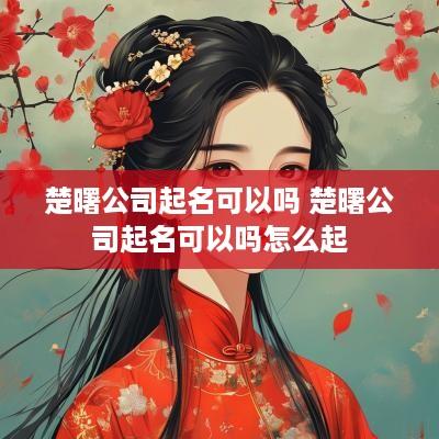 楚曙公司起名可以吗 楚曙公司起名可以吗怎么起