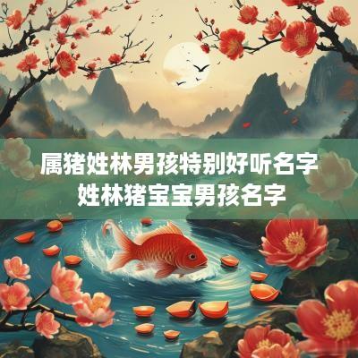 属猪姓林男孩特别好听名字 姓林猪宝宝男孩名字