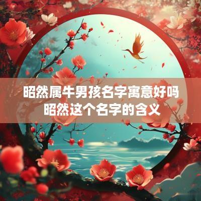 昭然属牛男孩名字寓意好吗 昭然这个名字的含义
