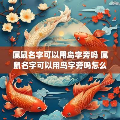 属鼠名字可以用鸟字旁吗 属鼠名字可以用鸟字旁吗怎么取