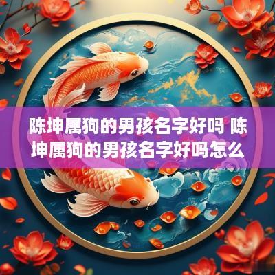 陈坤属狗的男孩名字好吗 陈坤属狗的男孩名字好吗怎么取