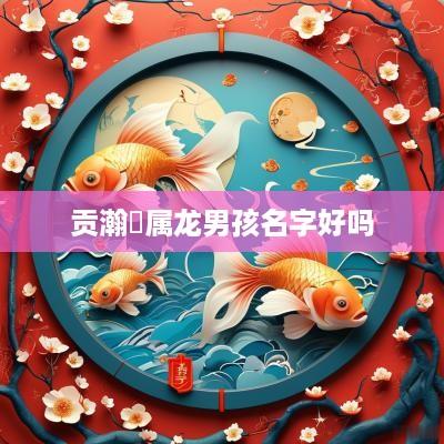 贡瀚玥属龙男孩名字好吗