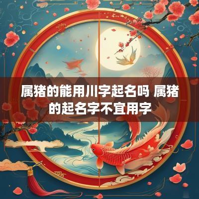 属猪的能用川字起名吗 属猪的起名字不宜用字