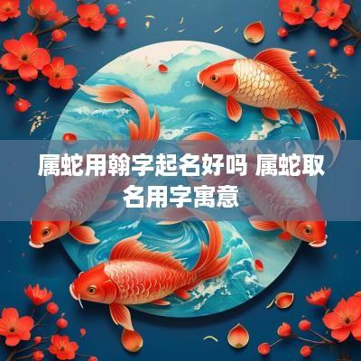 属蛇用翰字起名好吗 属蛇取名用字寓意