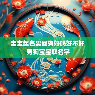 宝宝起名男属狗好吗好不好 男狗宝宝取名字
