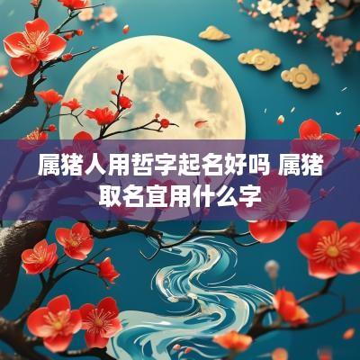 属猪人用哲字起名好吗 属猪取名宜用什么字