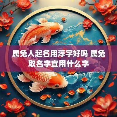 属兔人起名用淳字好吗 属兔取名字宜用什么字