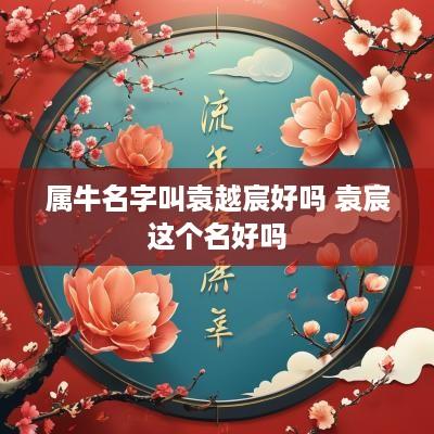 属牛名字叫袁越宸好吗 袁宸这个名好吗