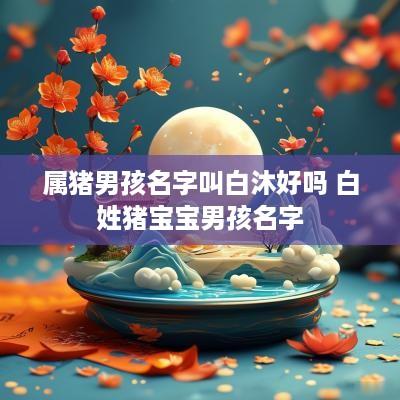 属猪男孩名字叫白沐好吗 白姓猪宝宝男孩名字