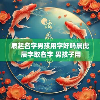 辰起名字男孩用字好吗属虎 辰字取名字 男孩子用
