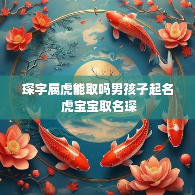 琛字属虎能取吗男孩子起名 虎宝宝取名琛