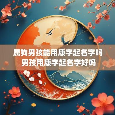 属狗男孩能用康字起名字吗 男孩用康字起名字好吗