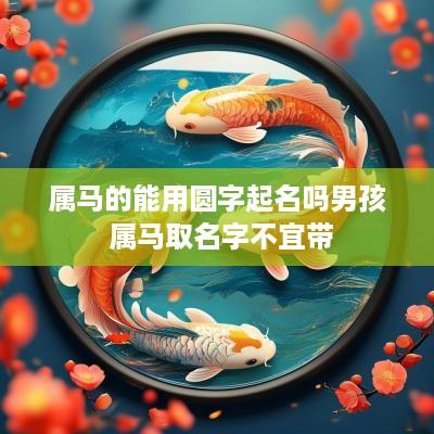 属马的能用圆字起名吗男孩 属马取名字不宜带