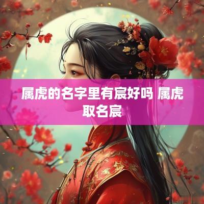 属虎的名字里有宸好吗 属虎取名宸