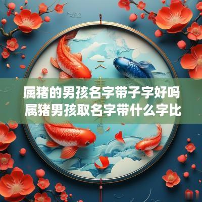 属猪的男孩名字带子字好吗 属猪男孩取名字带什么字比较好